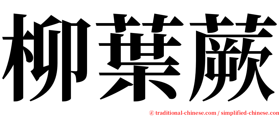 柳葉蕨 serif font