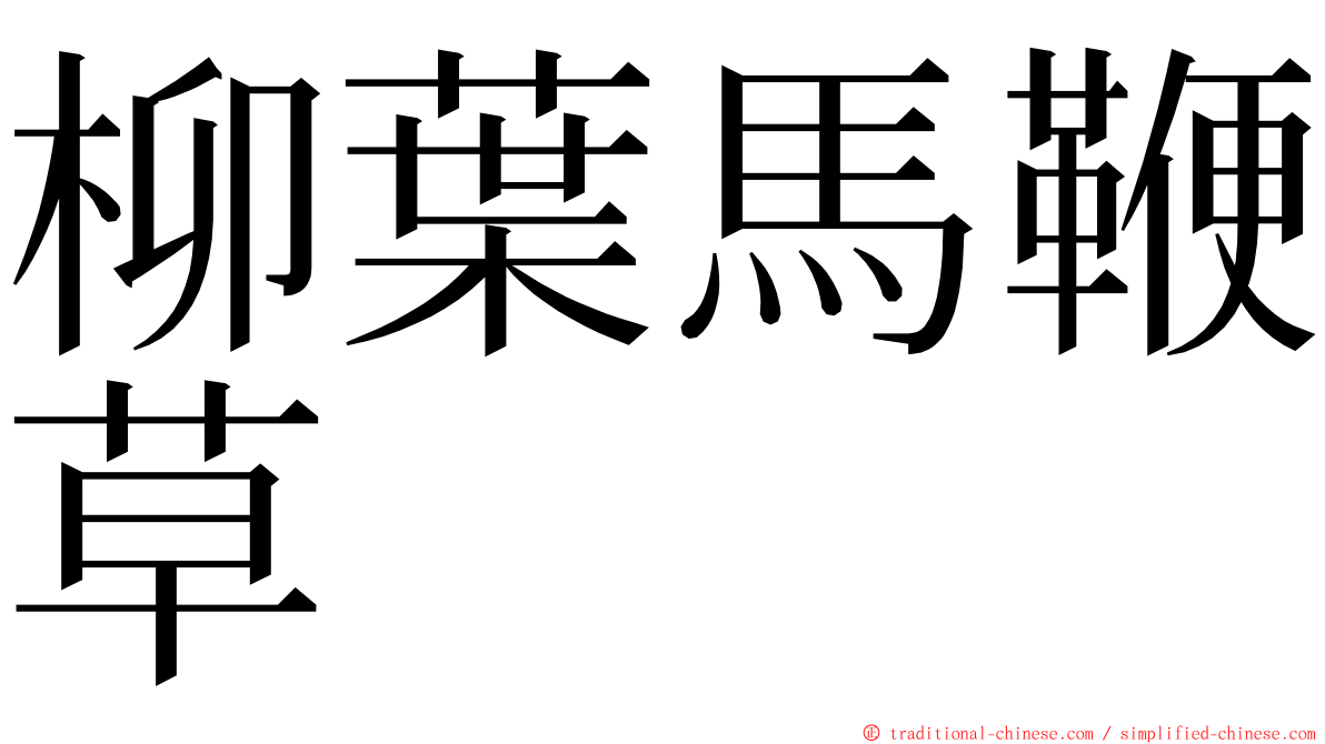 柳葉馬鞭草 ming font