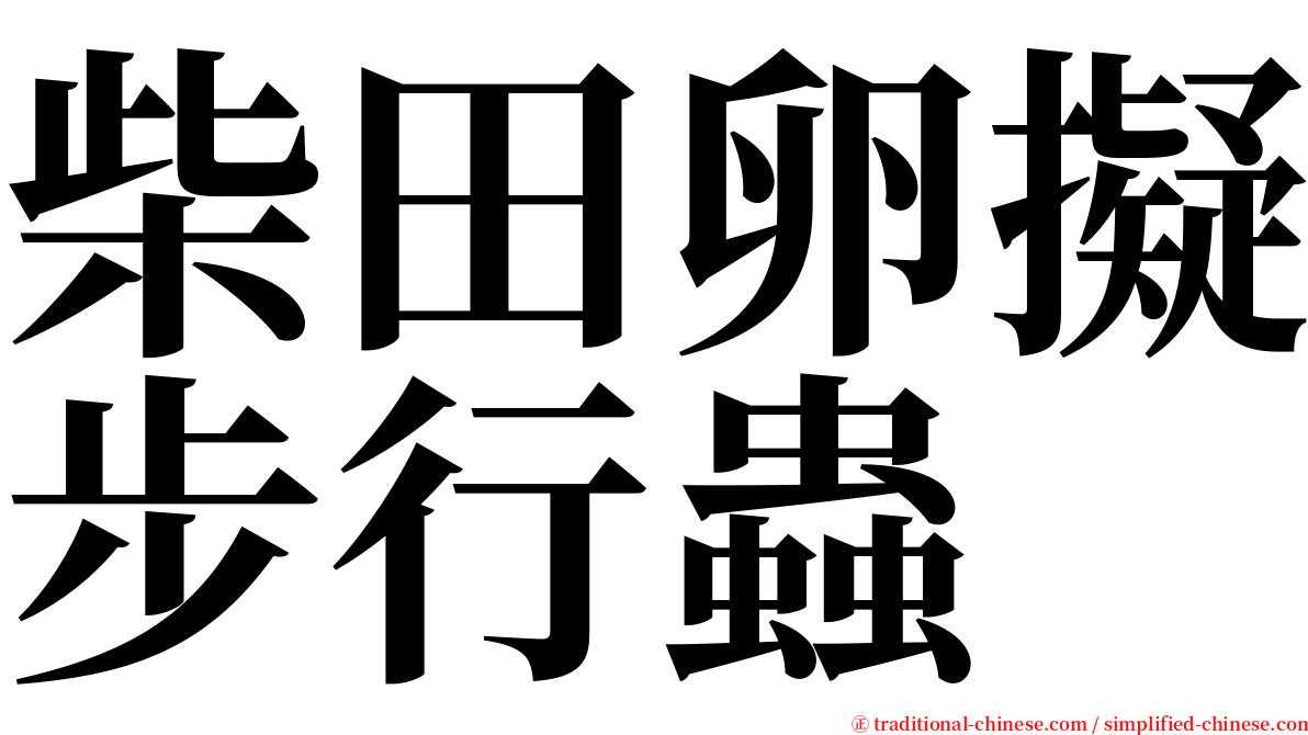 柴田卵擬步行蟲 serif font