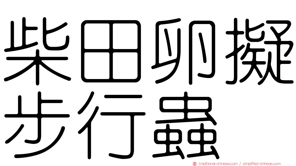 柴田卵擬步行蟲