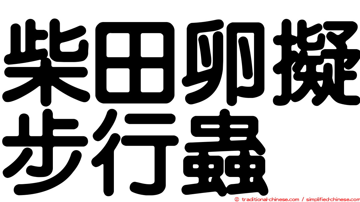 柴田卵擬步行蟲