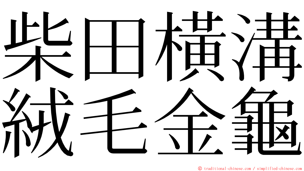 柴田橫溝絨毛金龜 ming font