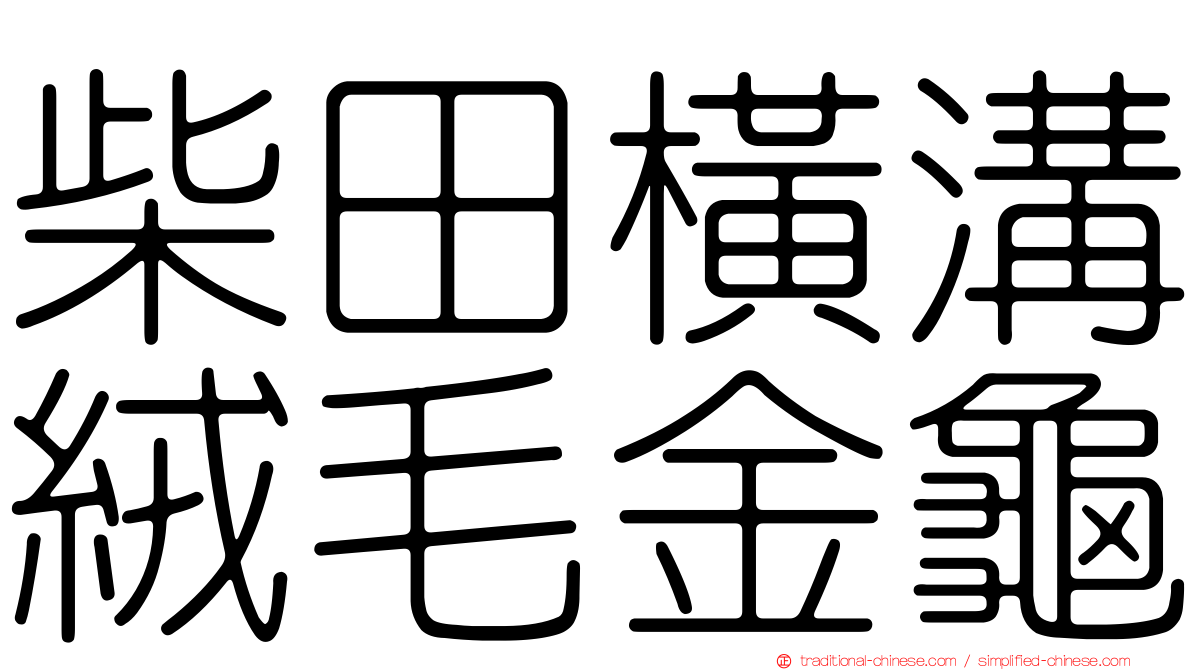 柴田橫溝絨毛金龜