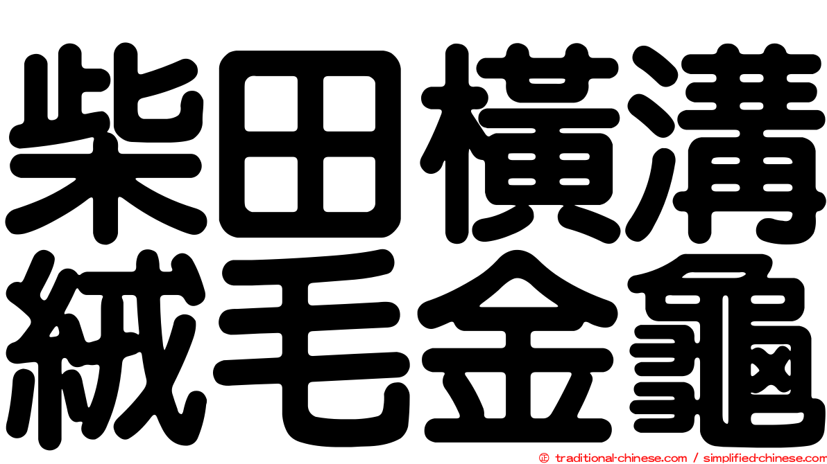 柴田橫溝絨毛金龜