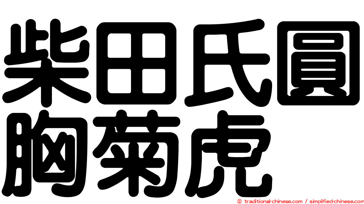 柴田氏圓胸菊虎