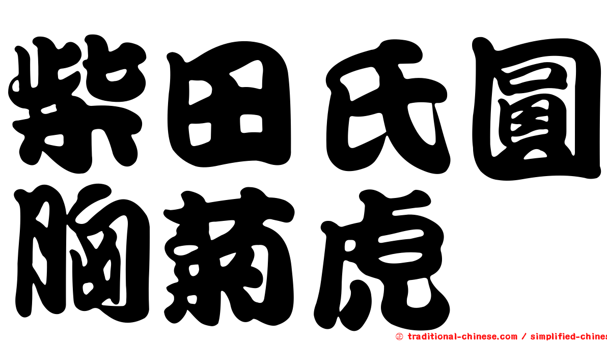 柴田氏圓胸菊虎