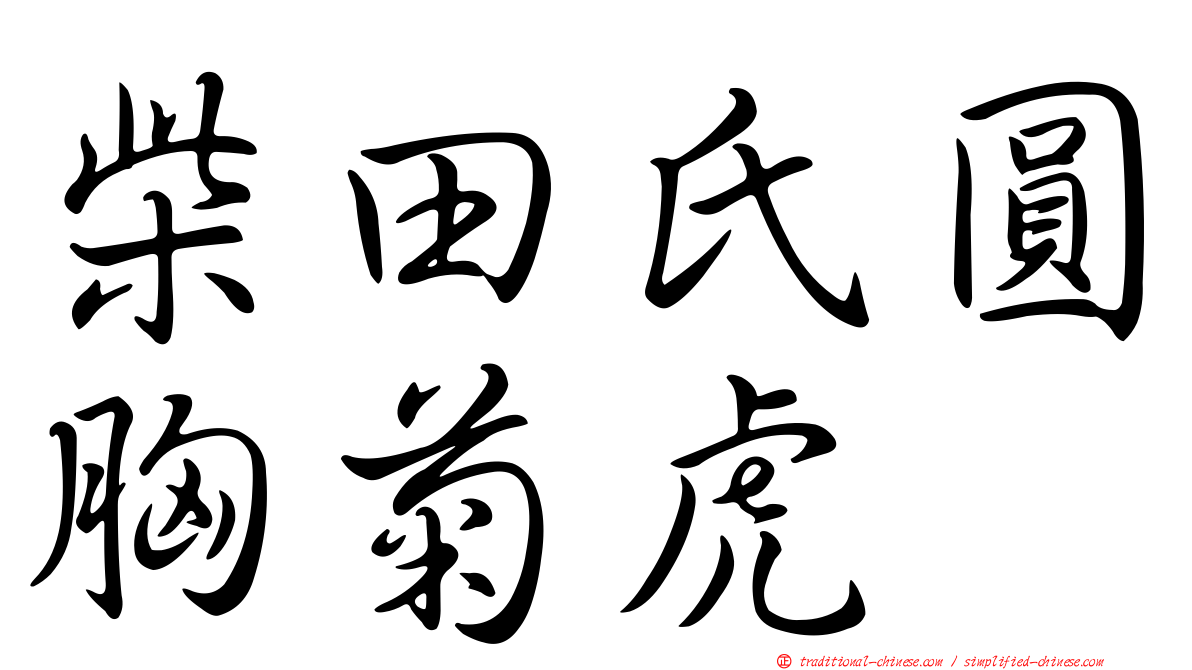 柴田氏圓胸菊虎