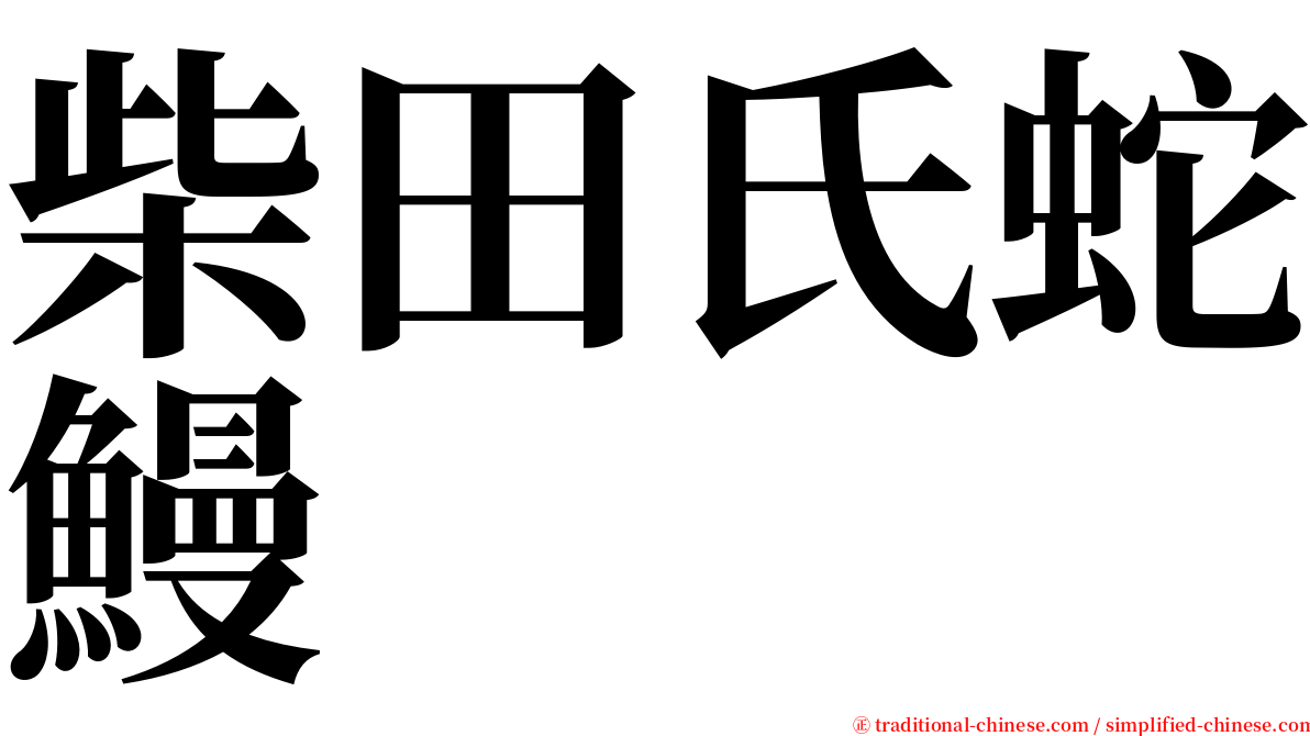 柴田氏蛇鰻 serif font