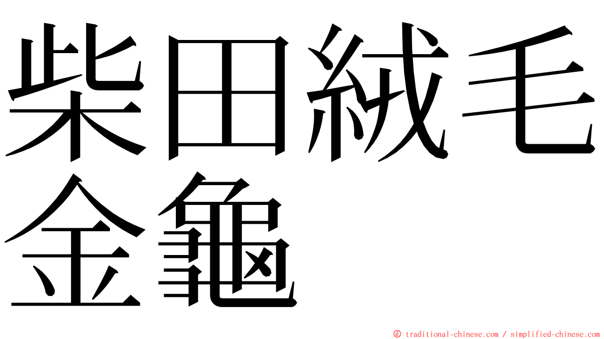 柴田絨毛金龜 ming font