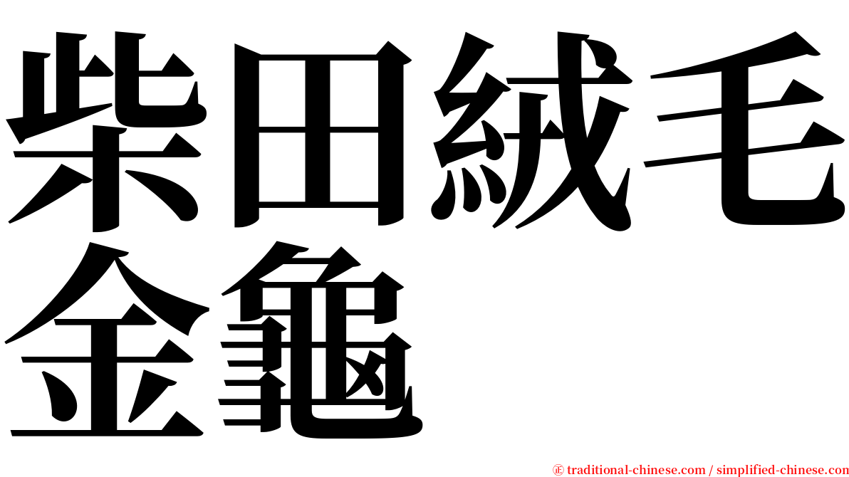 柴田絨毛金龜 serif font