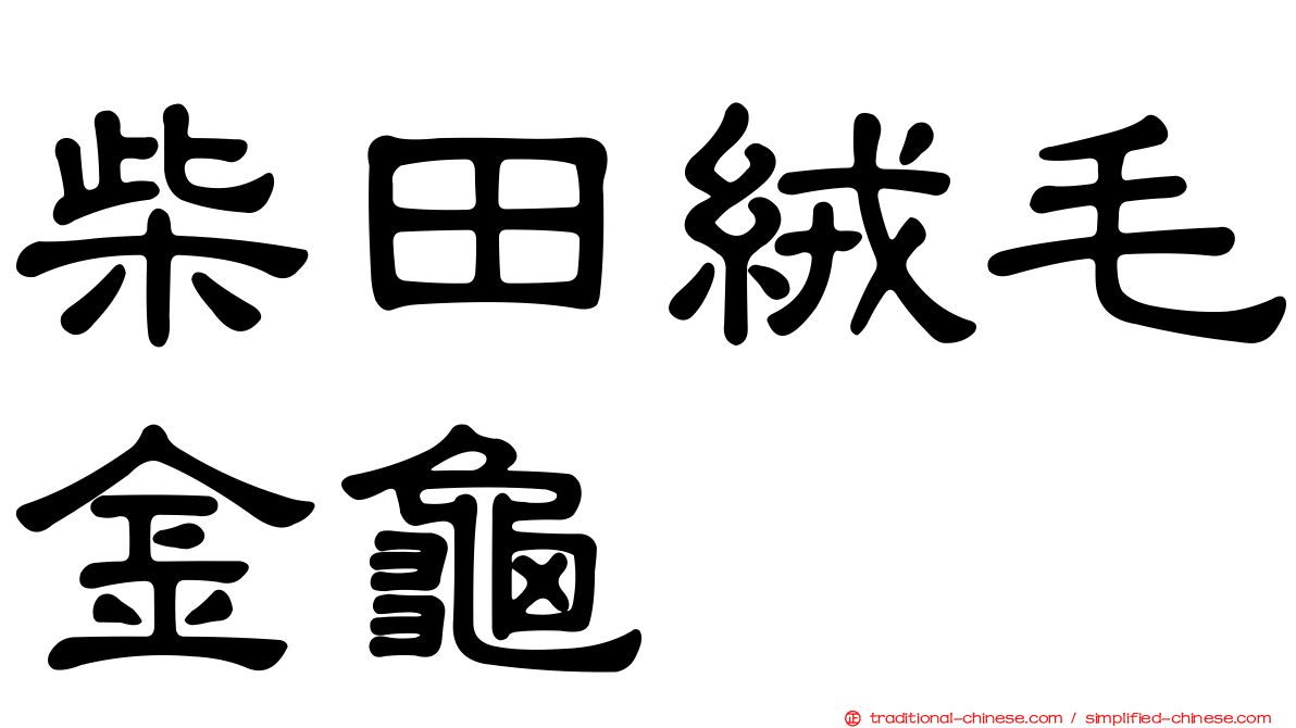 柴田絨毛金龜