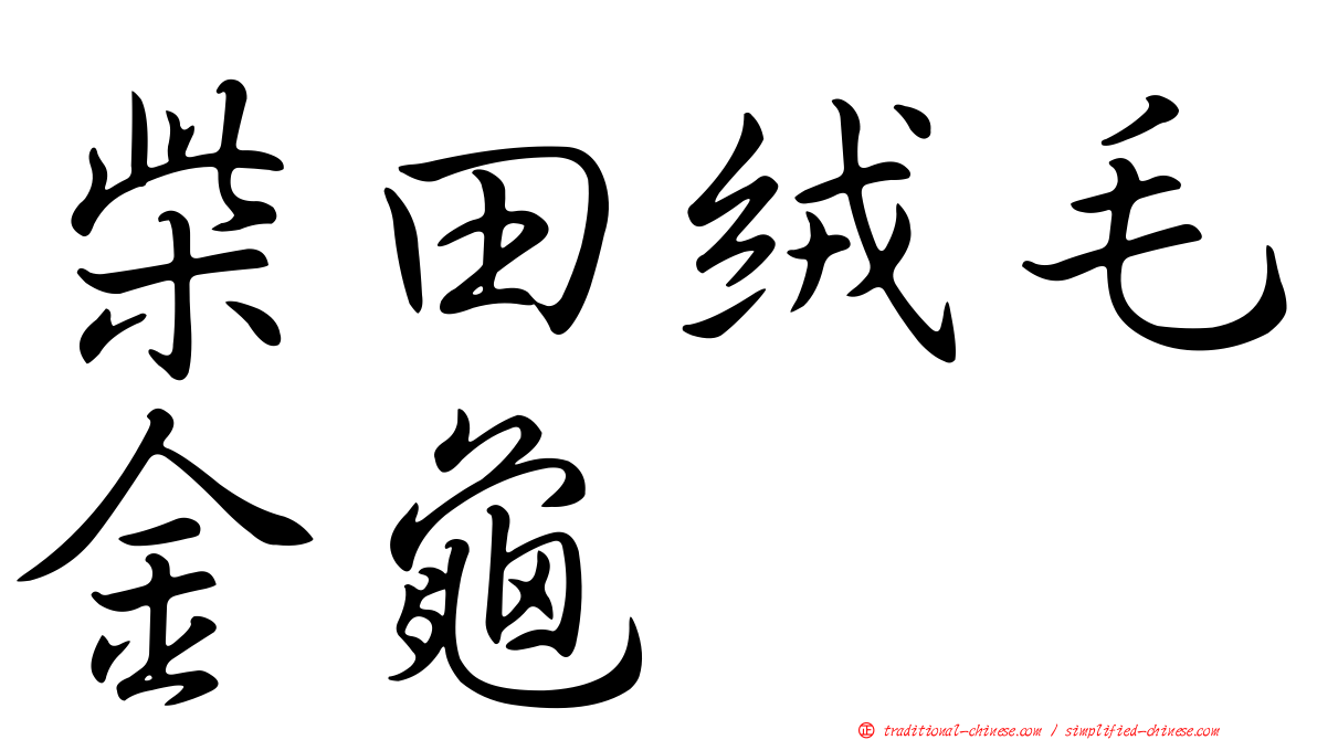 柴田絨毛金龜