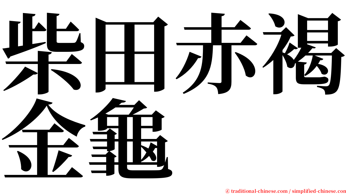 柴田赤褐金龜 serif font