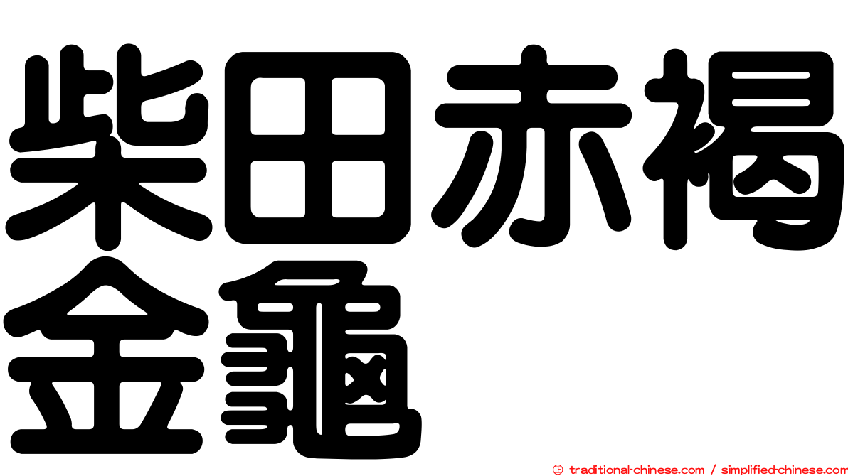 柴田赤褐金龜