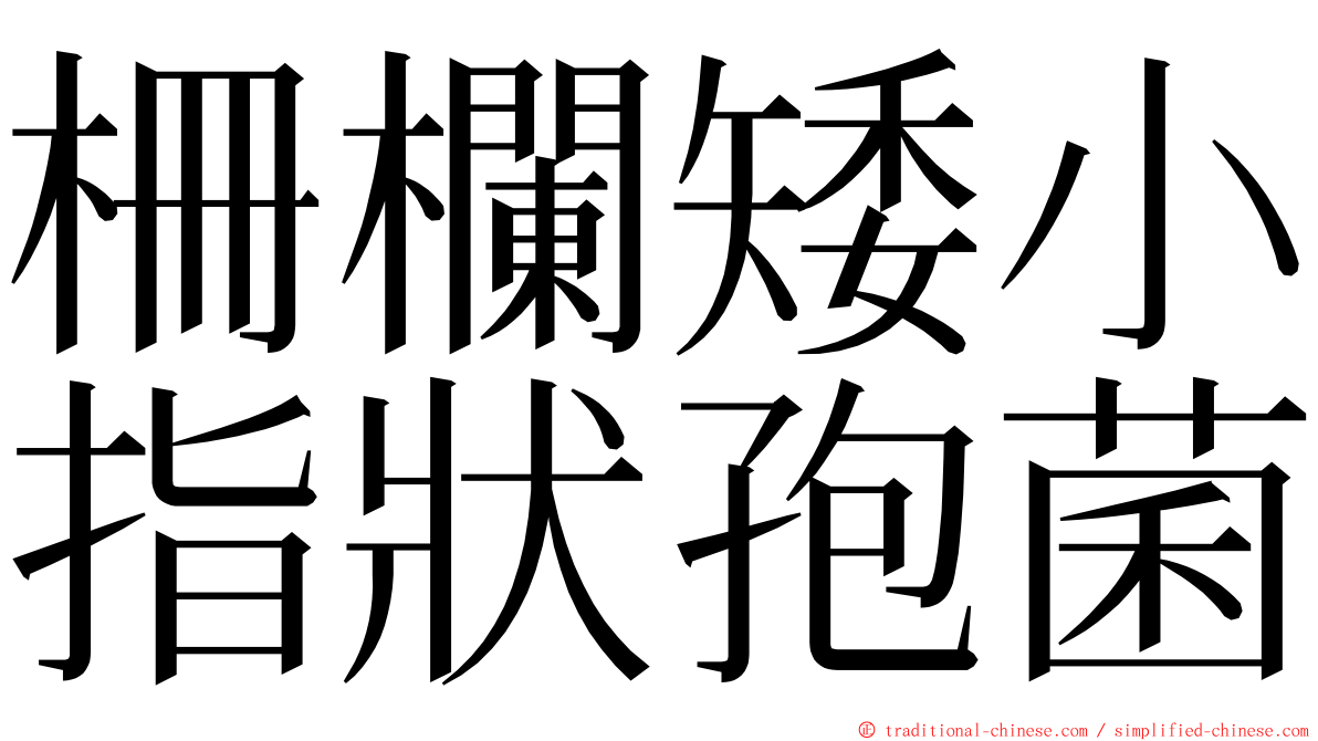 柵欄矮小指狀孢菌 ming font