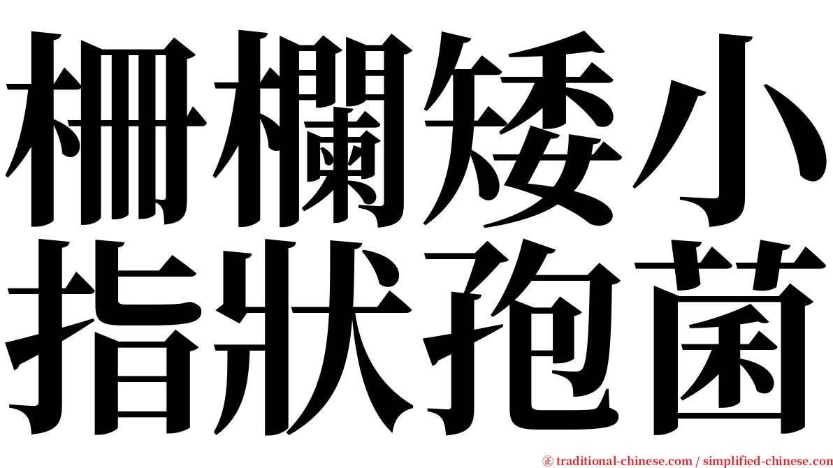柵欄矮小指狀孢菌 serif font