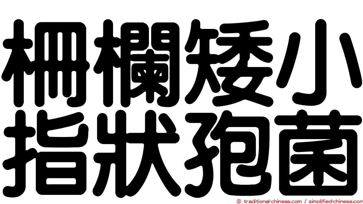 柵欄矮小指狀孢菌