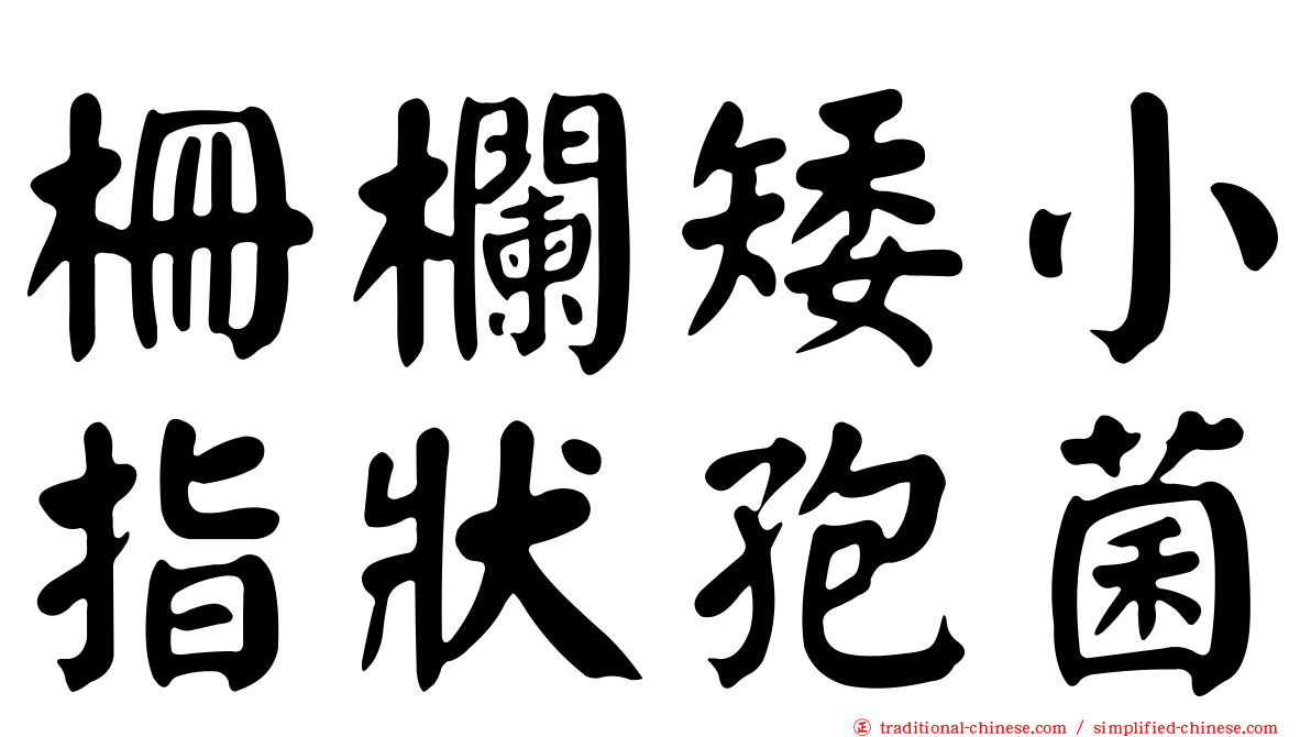 柵欄矮小指狀孢菌