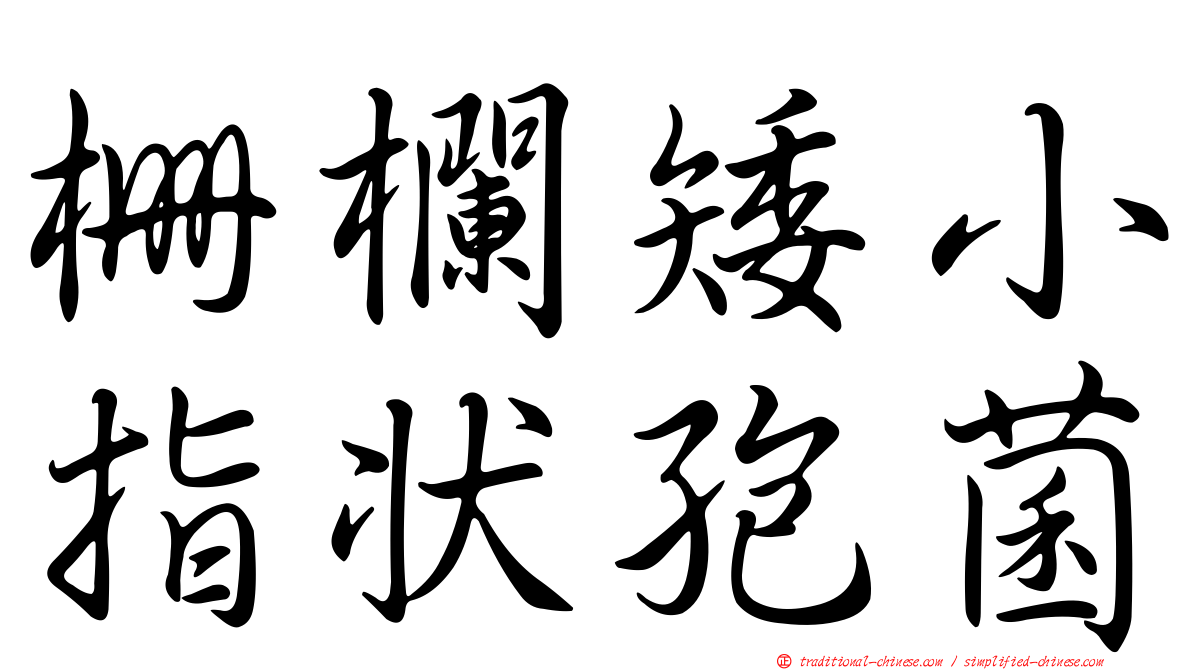 柵欄矮小指狀孢菌
