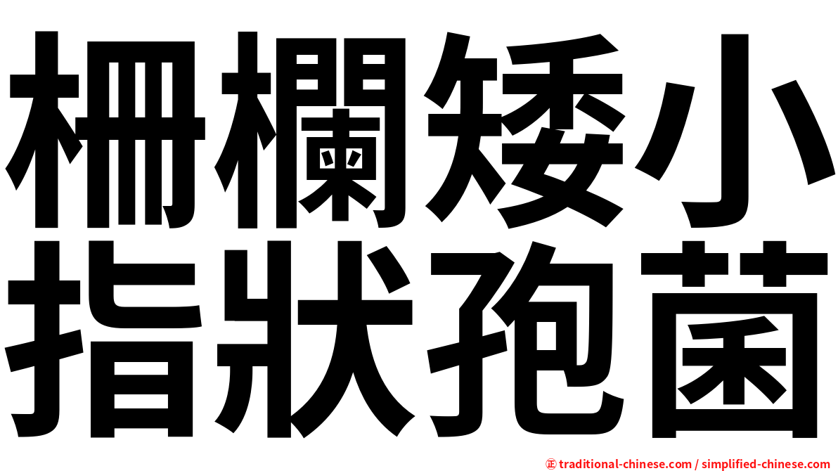 柵欄矮小指狀孢菌