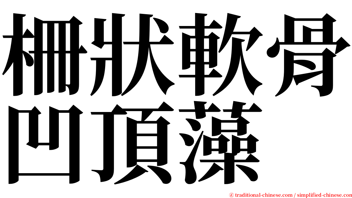 柵狀軟骨凹頂藻 serif font