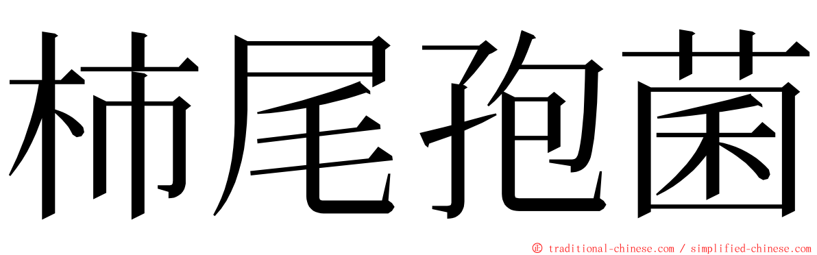 柿尾孢菌 ming font