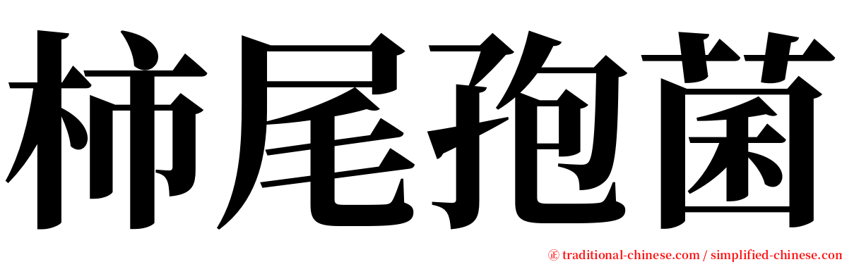 柿尾孢菌 serif font