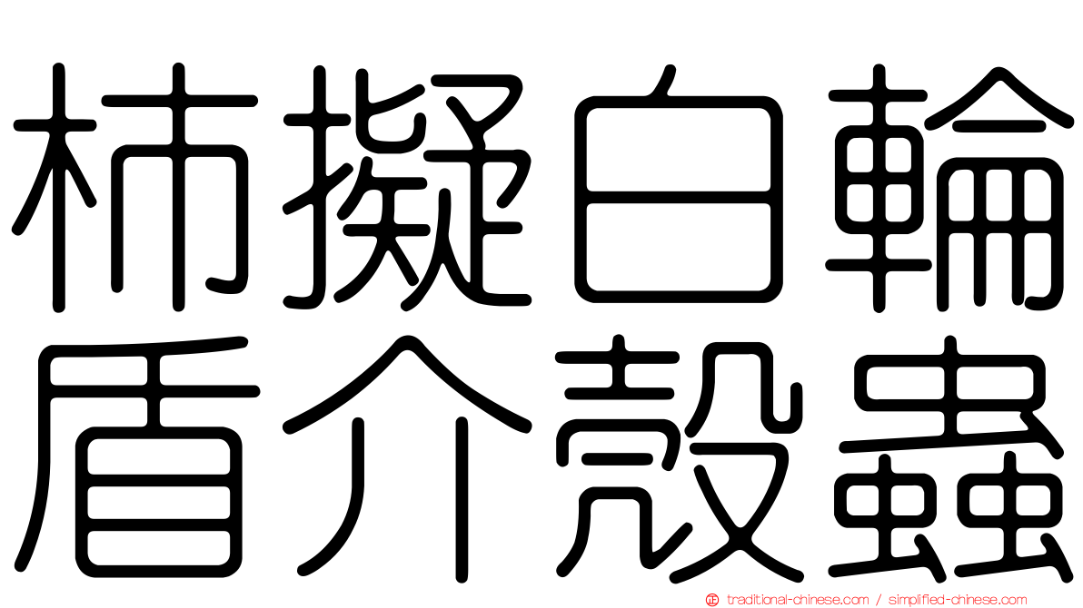 柿擬白輪盾介殼蟲