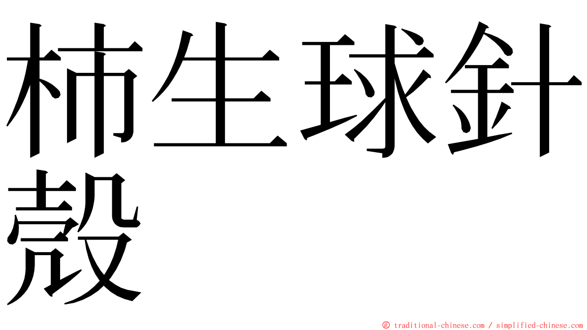 柿生球針殼 ming font