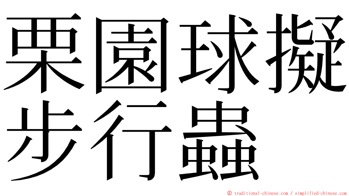 栗園球擬步行蟲 ming font