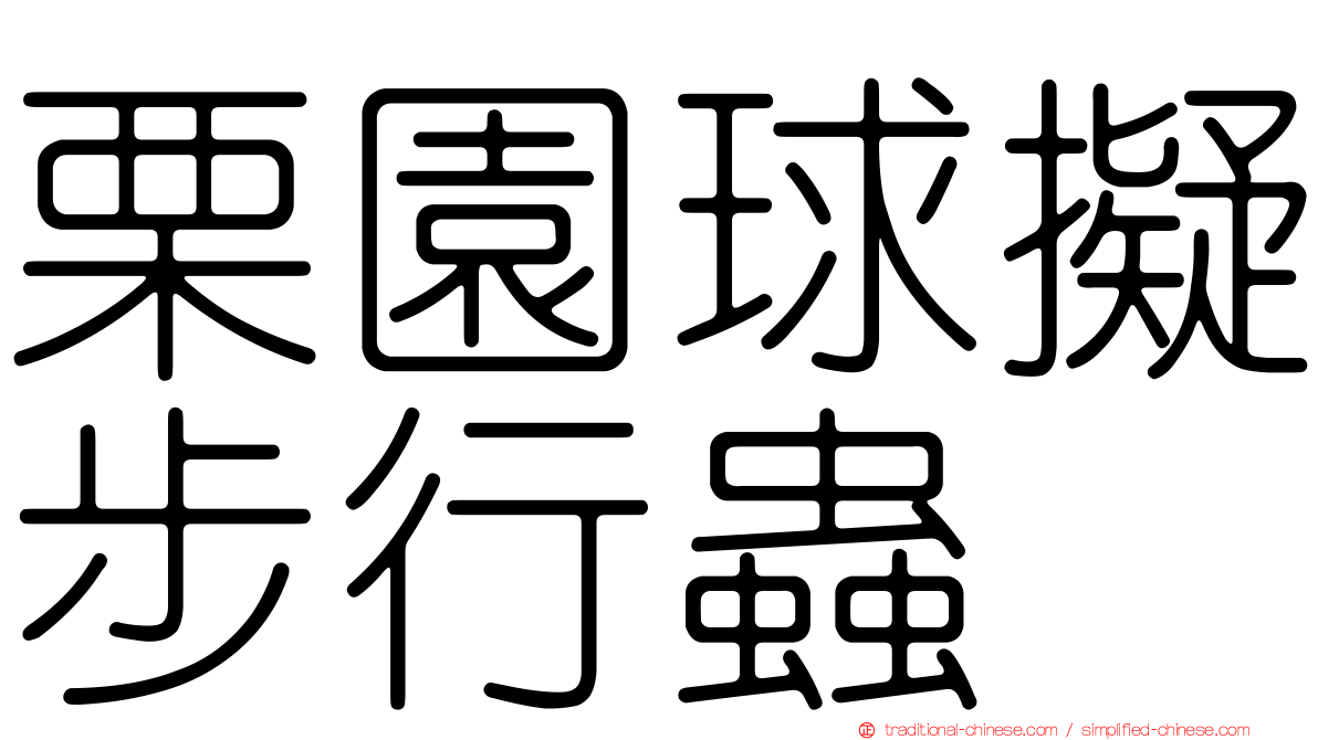 栗園球擬步行蟲