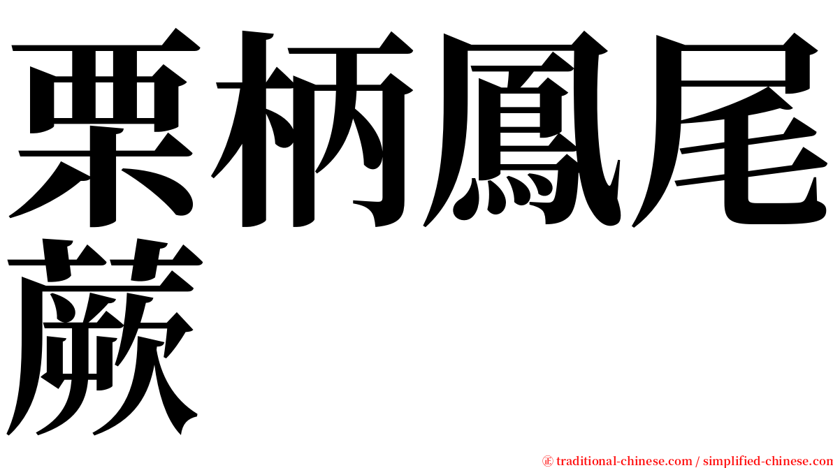 栗柄鳳尾蕨 serif font