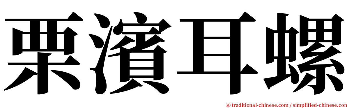 栗濱耳螺 serif font