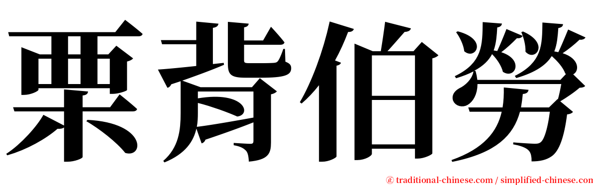 栗背伯勞 serif font