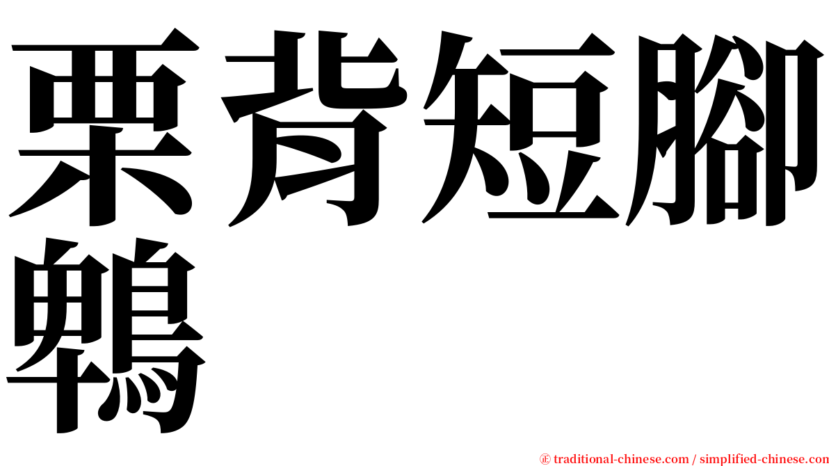 栗背短腳鵯 serif font