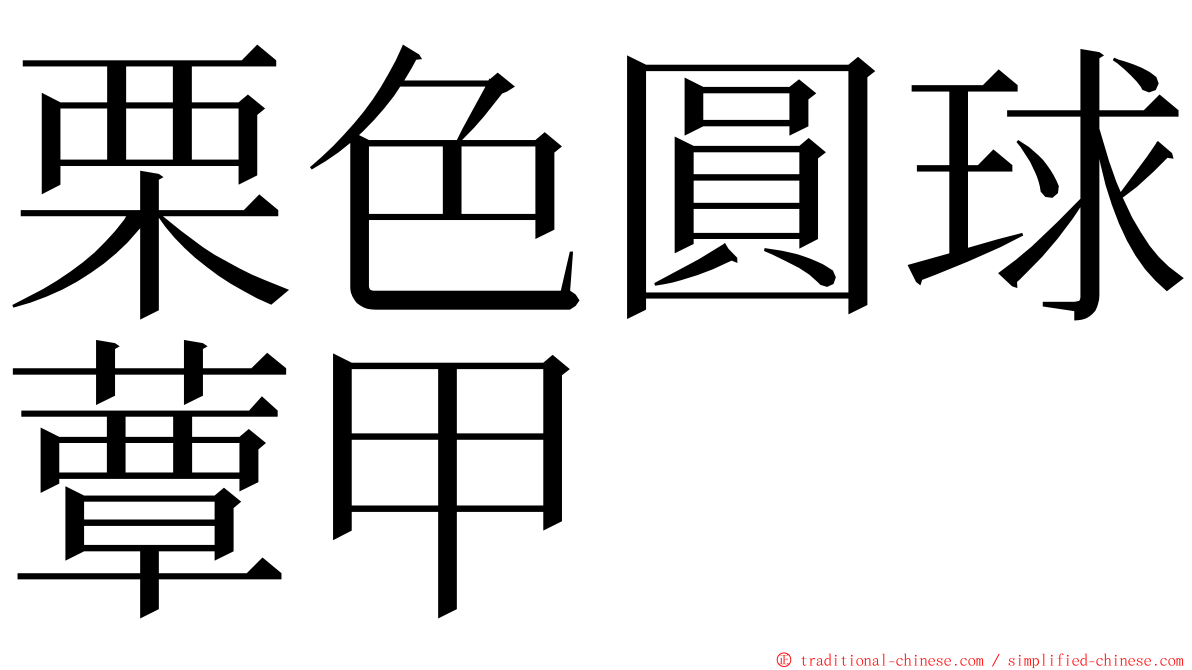 栗色圓球蕈甲 ming font