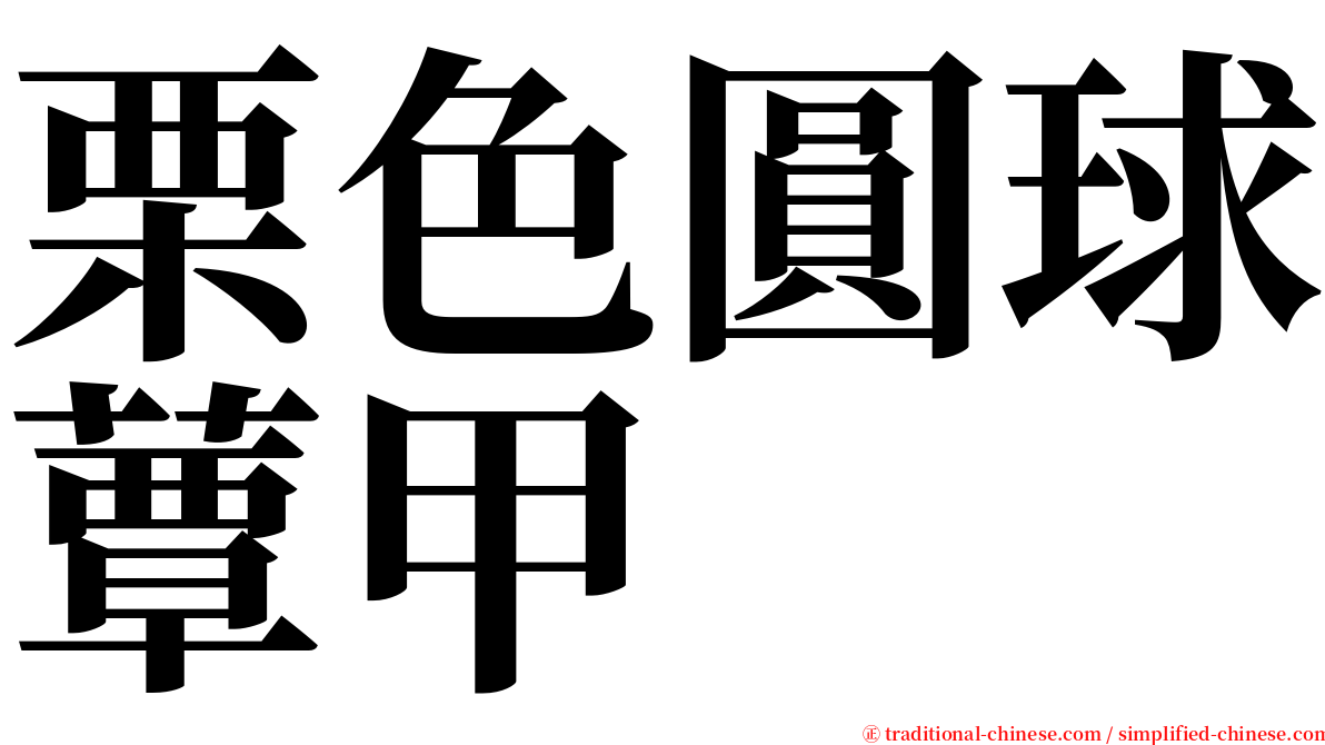 栗色圓球蕈甲 serif font