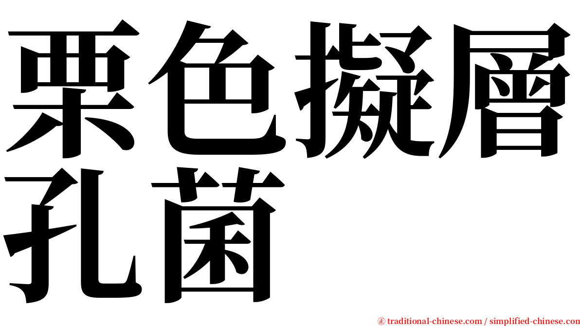 栗色擬層孔菌 serif font