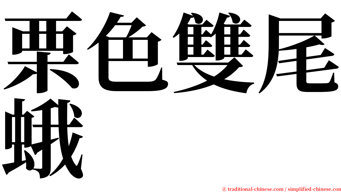 栗色雙尾蛾 serif font