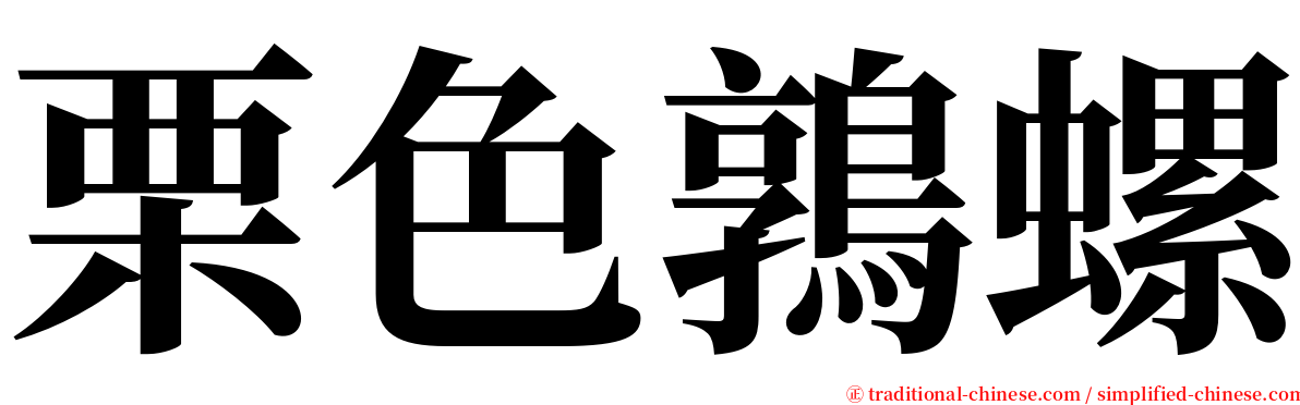 栗色鶉螺 serif font