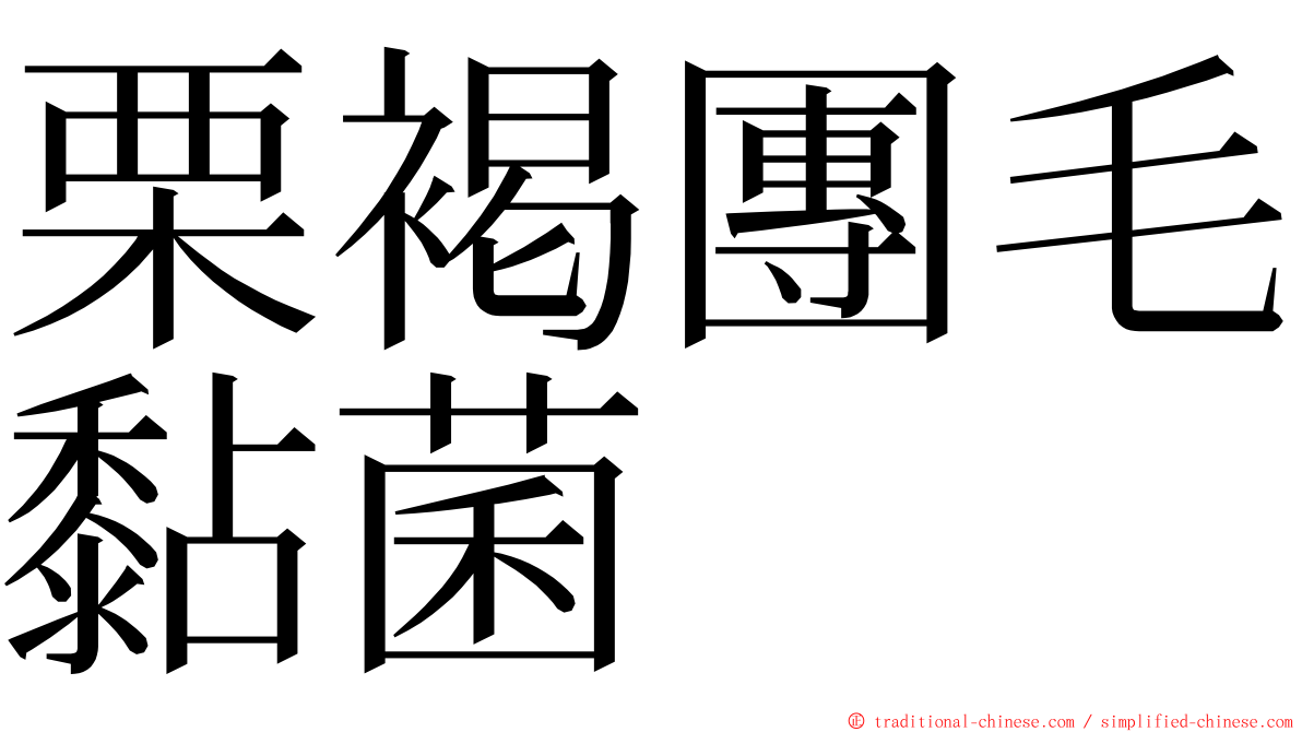 栗褐團毛黏菌 ming font