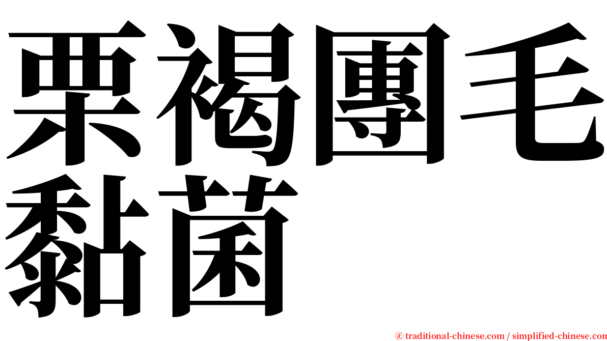 栗褐團毛黏菌 serif font