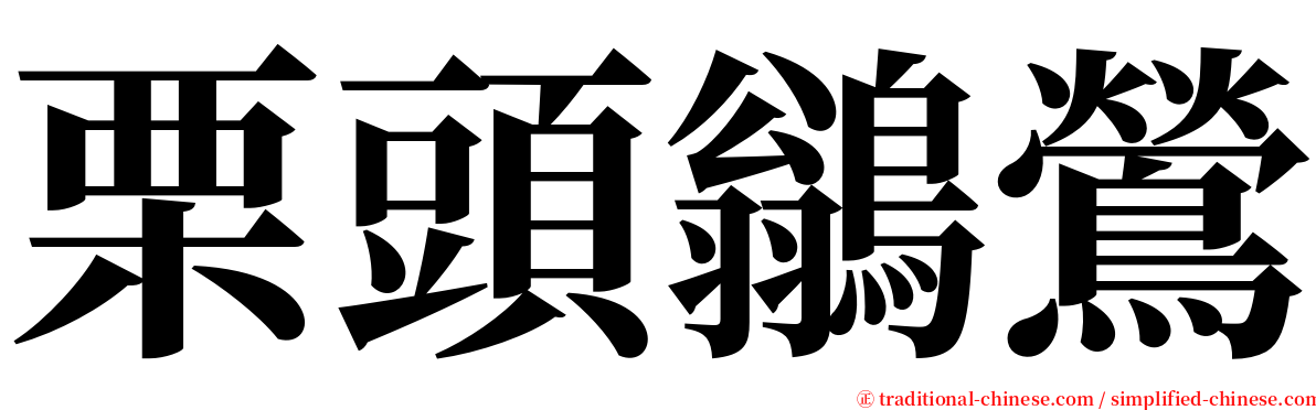 栗頭鶲鶯 serif font