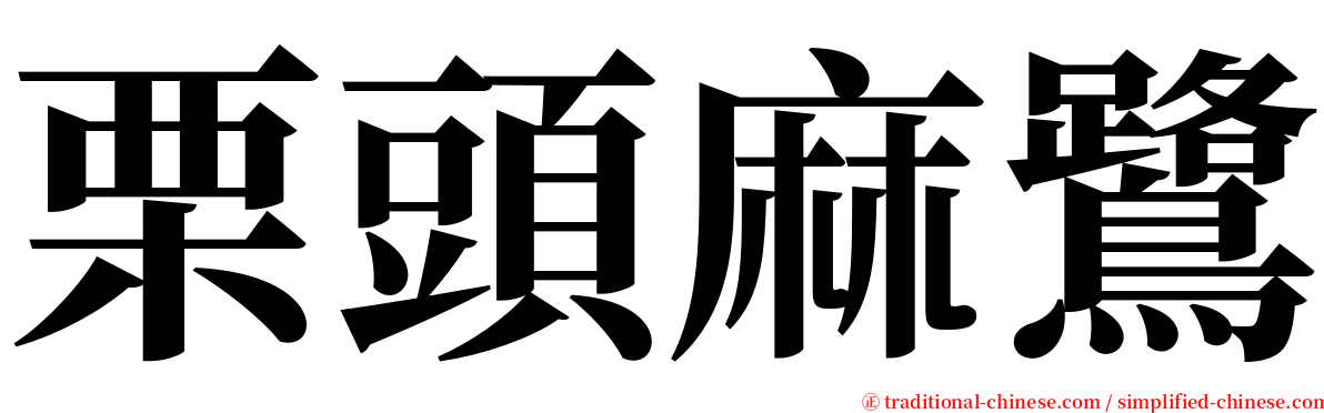 栗頭麻鷺 serif font