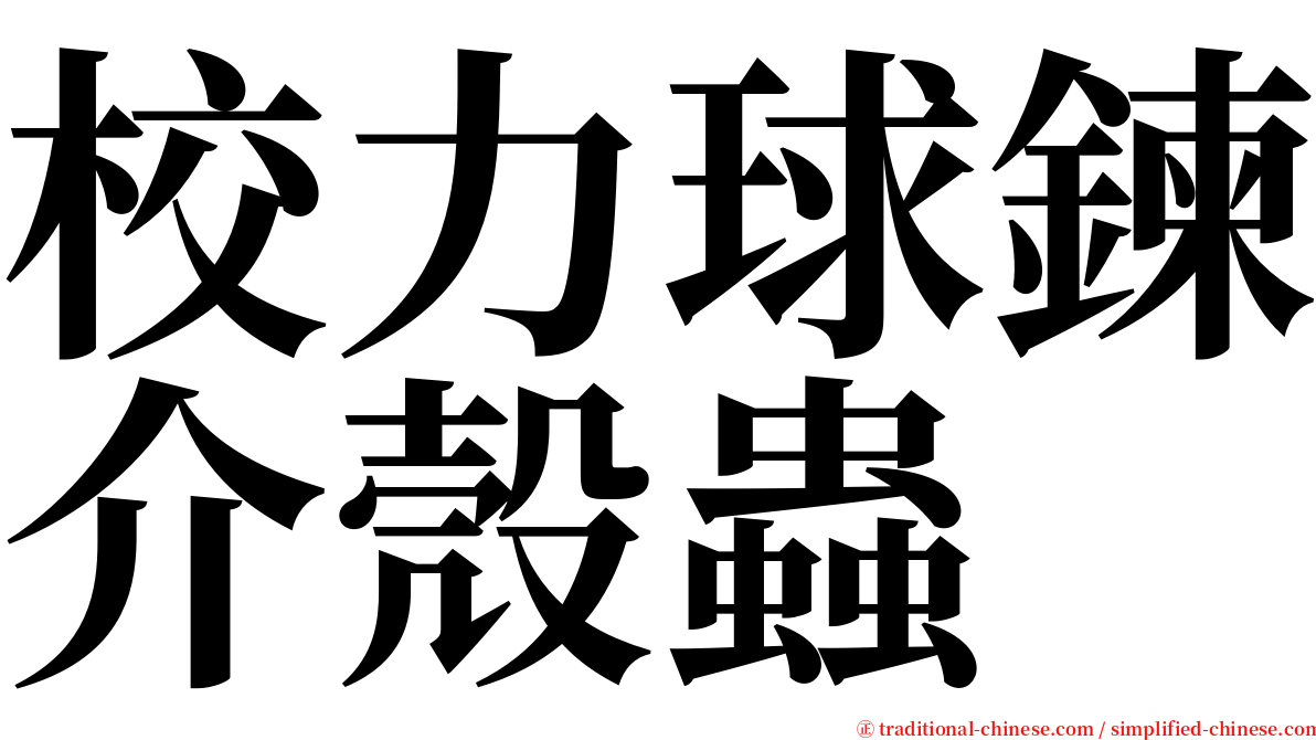 校力球鍊介殼蟲 serif font