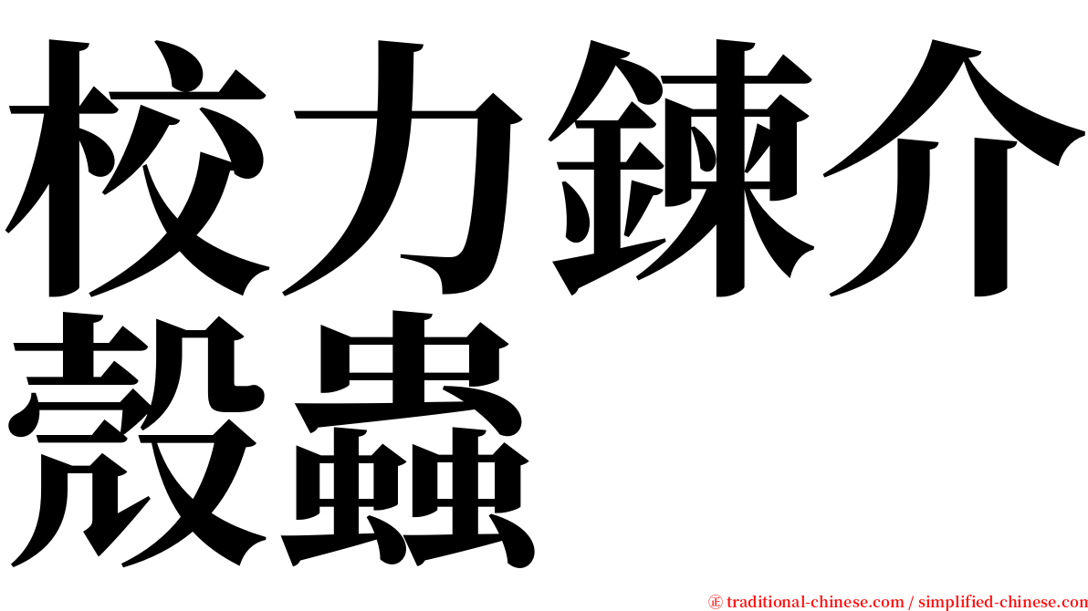 校力鍊介殼蟲 serif font