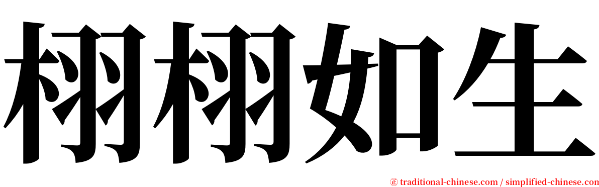 栩栩如生 serif font