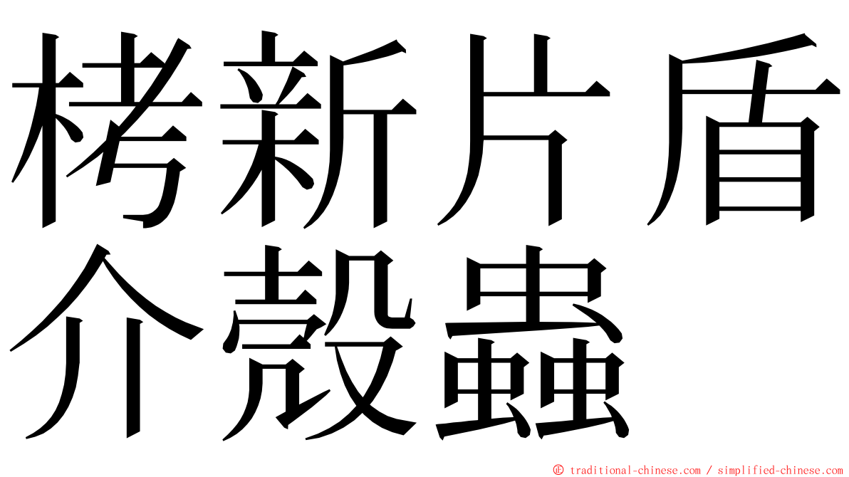 栲新片盾介殼蟲 ming font