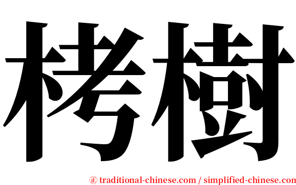 栲樹 serif font