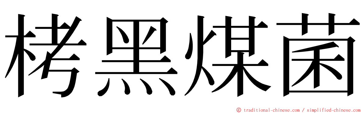 栲黑煤菌 ming font
